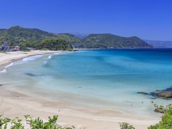 Kinh nghiệm du lịch Shizuoka: Top 10 địa điểm nổi bật không thể bỏ qua 4