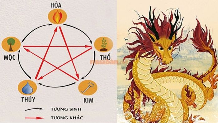 Phân tích ngũ hành cho nam mạng Bính Thìn 1976 trong năm 2025 cho thấy những chuyển biến tích cực trong các phương diện tài chính và sự nghiệp.