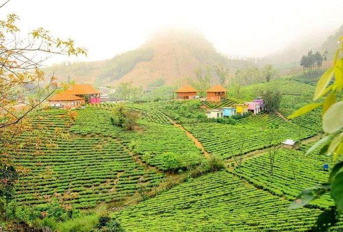 Moc Chau Arena Village