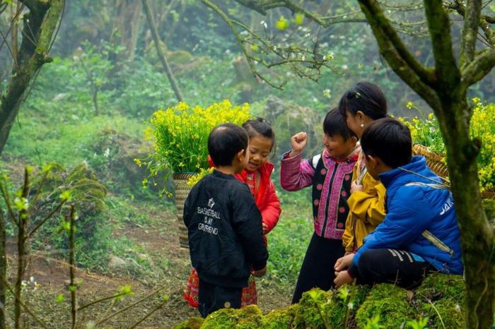 Thời tiết ở Mộc Châu rất dễ chịu