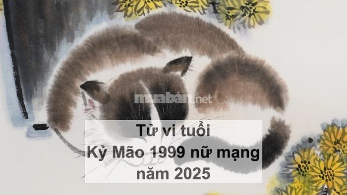 Tử vi nữ mạng tuổi Kỷ Mão 1999 năm 2025 – Cẩn thận với sức khỏe
