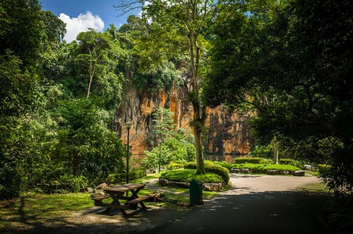 Không gian bàn picnic tại Công viên Reservoir Park, Singapore, là một nơi lý tưởng để du khách thư giãn và thưởng ngoạn vẻ đẹp thiên nhiên xung quanh.