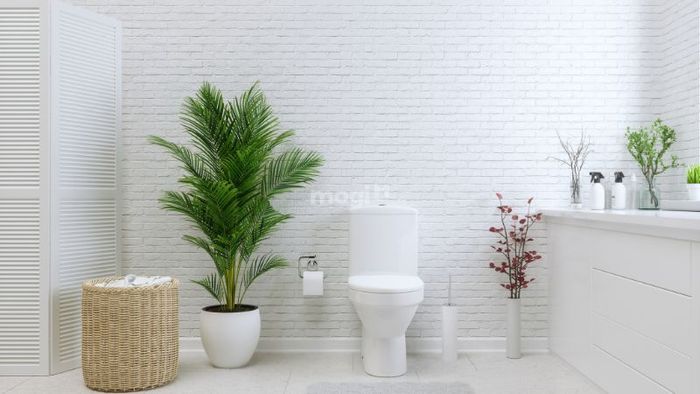 Không nên tự ý chọn hướng cho nhà vệ sinh, hãy tham khảo ý kiến của các chuyên gia hoặc tìm hiểu thật kỹ trước khi quyết định.