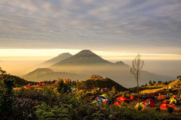 Bình minh trên núi Sikunir - tuyệt tác thiên nhiên kỳ vĩ của Indonesia, nơi bạn có thể chiêm ngưỡng khung cảnh huyền bí của một vùng đất hoang sơ.