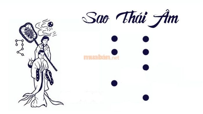 Tử vi tuổi Nhâm Tuất 1982 nam mạng 2025 cho thấy, bản mệnh sẽ nhận được sự chiếu mệnh từ sao Thái Âm.