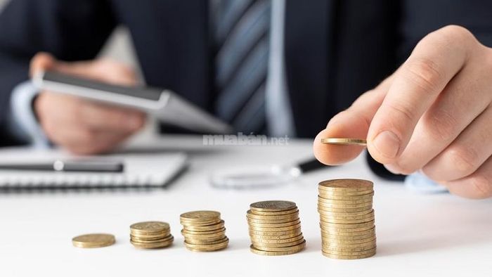 Tử vi tuổi Nhâm Tuất 1982 nam mạng 2025 cho thấy bạn sẽ có một nguồn tài chính ổn định, tiền bạc dồi dào và cuộc sống vật chất trở nên thoải mái.