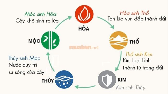 Theo ngũ hành, tử vi tuổi Ất Mùi 1955 nam mạng năm 2025 sẽ gặp một vài thử thách, nhưng sẽ có cách giải quyết hợp lý.
