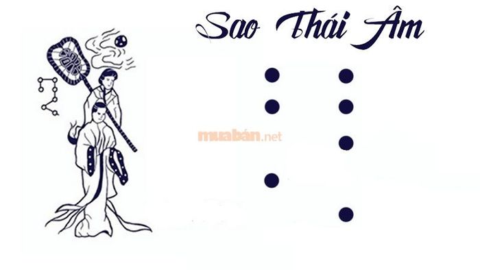 Theo tử vi, nam mạng Ất Mùi 1955 năm 2025 sẽ được sao Thái Âm chiếu mạng.