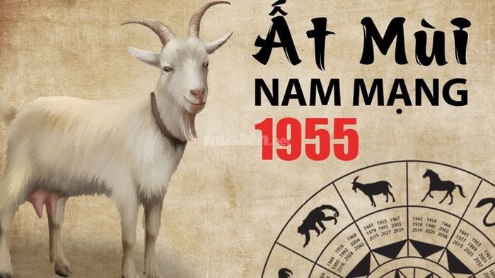 Tử vi tuổi Ất Mùi 1955 nam mạng năm 2025