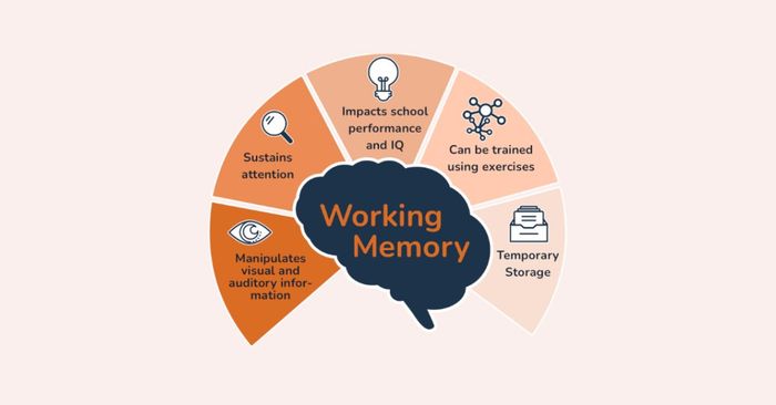 Ảnh hưởng của Working Memory đối với việc học từ vựng qua bài đọc