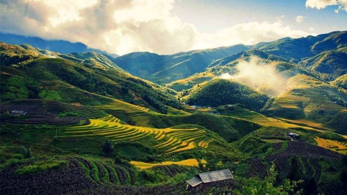 Biển số xe 24 thuộc tỉnh nào?