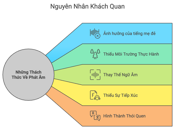 Yếu tố khách quan ảnh hưởng