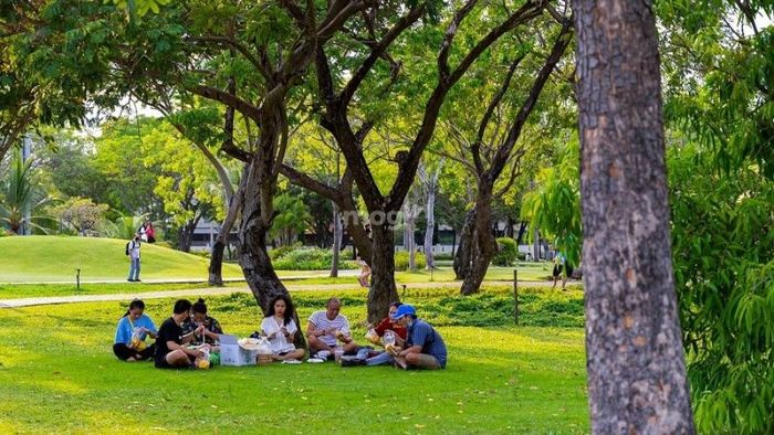 Hoạt động teambuilding, cắm trại và dã ngoại tại công viên Thống Nhất