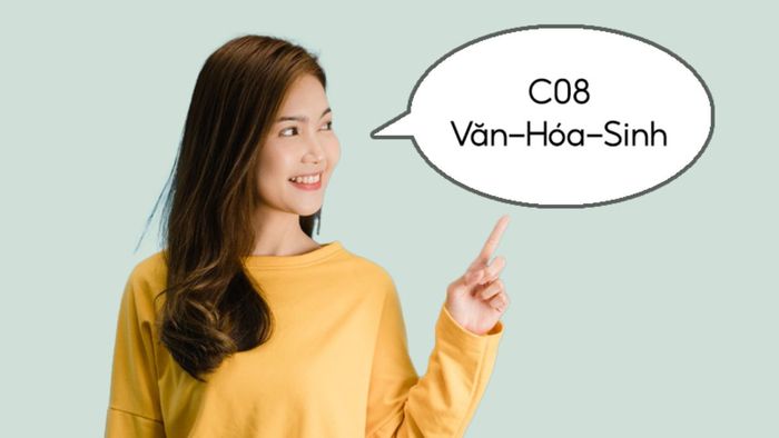 Khối C08 bao gồm những môn học nào?