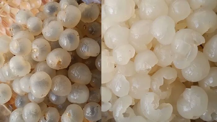 Hướng dẫn làm mứt nhãn bước đầu tiên