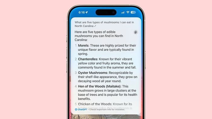Sự kết hợp giữa Siri và  mang lại những câu trả lời chính xác và chi tiết hơn cho người dùng