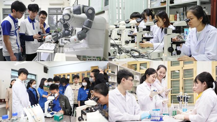 Danh sách tất cả các ngành nghề hiện nay trong lĩnh vực kinh doanh - Nhóm ngành Khoa học cơ bản