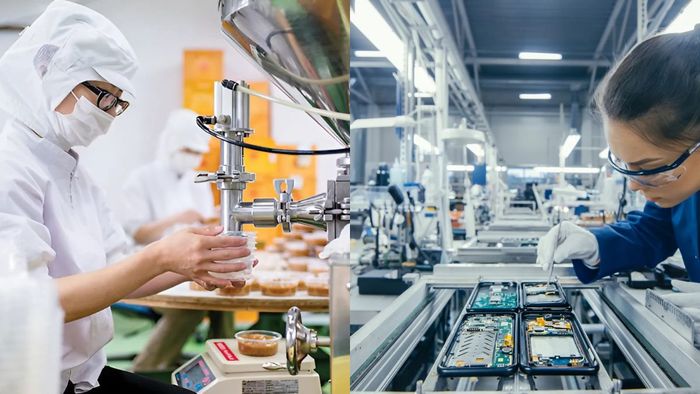 Các ngành nghề tại Việt Nam - Ngành Sản xuất và Chế biến