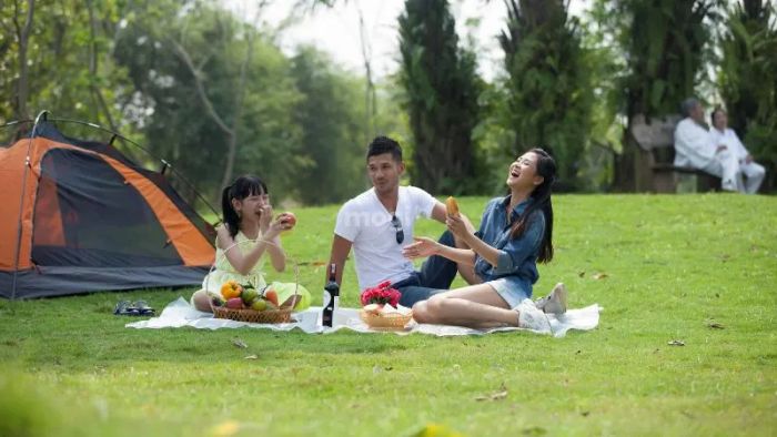 Công viên Gia Định là địa điểm lý tưởng cho các hoạt động dã ngoại