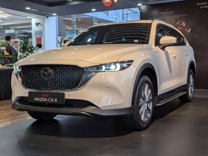 Mazda CX-8 (3).jpg
