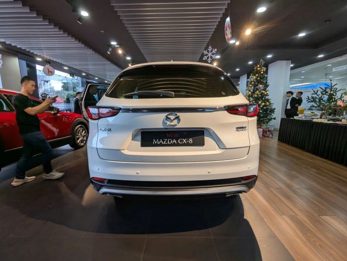 Mazda CX-8 (6).jpg