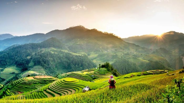 ruộng bậc thang đẹp nhất Việt Nam - Mù Cang Chải