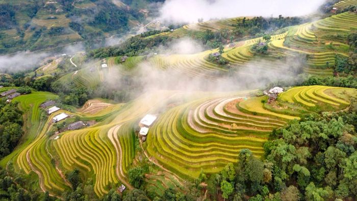 ruộng bậc thang đẹp nhất việt nam - Hoàng Su Phì, Hà Giang