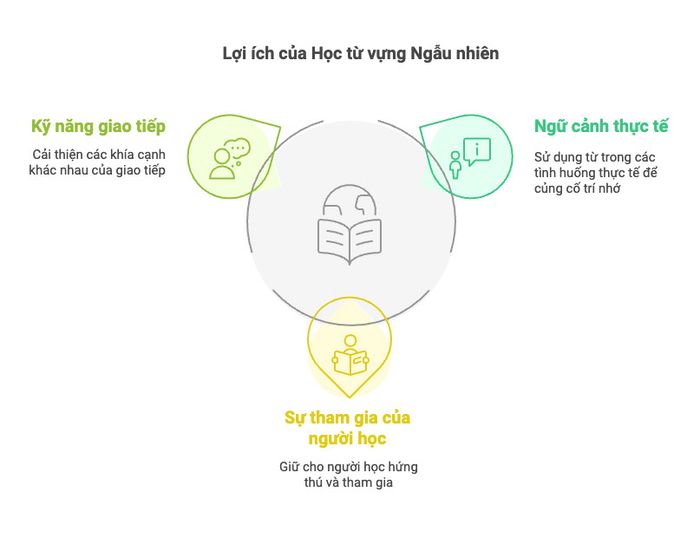 Học từ vựng ngẫu nhiên mang đến nhiều lợi ích, giúp người học tiếp thu từ mới một cách tự nhiên thông qua việc tiếp xúc với ngữ cảnh thực tế, tạo cơ hội học hỏi không gian ngôn ngữ phong phú và đa dạng.