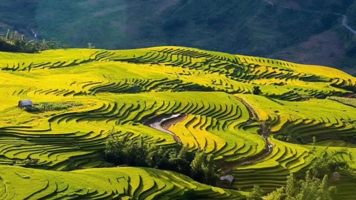 ruộng bậc thang đẹp nhất việt nam - Y Tý, Lào Cai