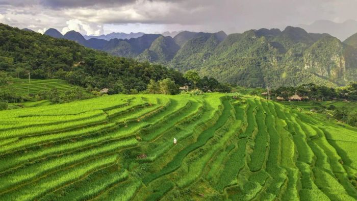 ruộng bậc thang đẹp nhất việt nam - Pù Luông, Thanh Hóa