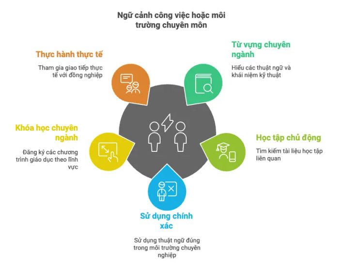 Môi trường làm việc hoặc lĩnh vực chuyên môn