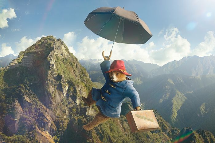 Mỗi nơi Paddington đến, đều có drama, nhưng luôn đầy ắp những điều thú vị.