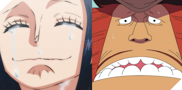 Spoiler One Piece Chap 1135: Robin, Saul và những bí mật của Ohara