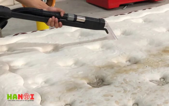 Homeclean247-vn-Mytour