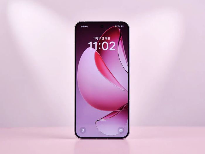 Màn hình của OPPO Reno13 F 5G không có quá nhiều nâng cấp so với thế hệ trước.