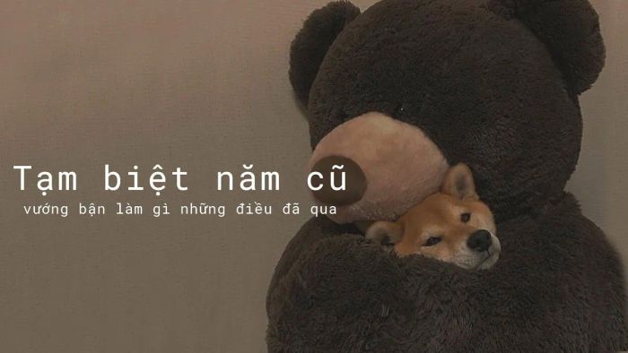 Status tổng kết cuối năm đầy cảm xúc