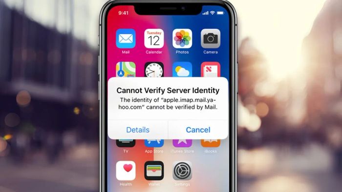 Không thể xác minh nhận dạng máy chủ