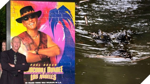 Ngôi sao đặc biệt trong bộ phim Crocodile Dundee đã qua đời 2