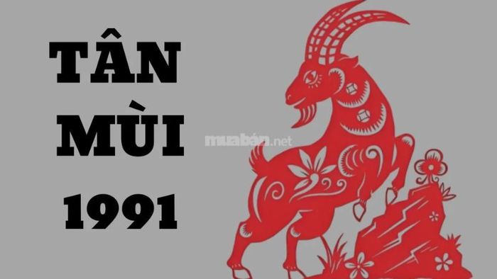 Thông tin tổng quan về tuổi Tân Mùi 1991