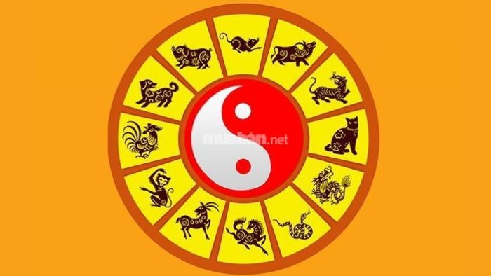 Mỗi 12 năm, chúng ta sẽ bước vào giai đoạn Tam Tai, thời điểm mà những điều không may mắn sẽ liên tiếp xuất hiện.