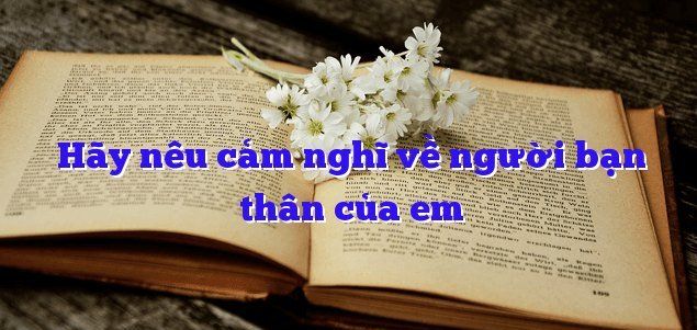 Ảnh minh họa (Nguồn internet) ảnh 1