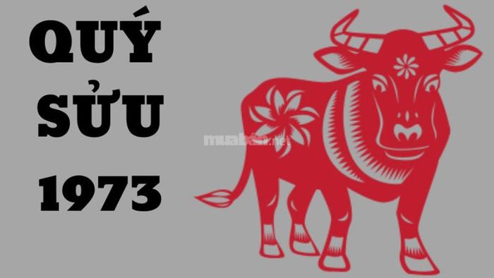 Tổng quan về người tuổi Quý Sửu 1973