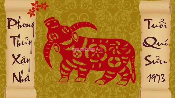 Những lưu ý quan trọng khi xem tuổi để xây nhà
