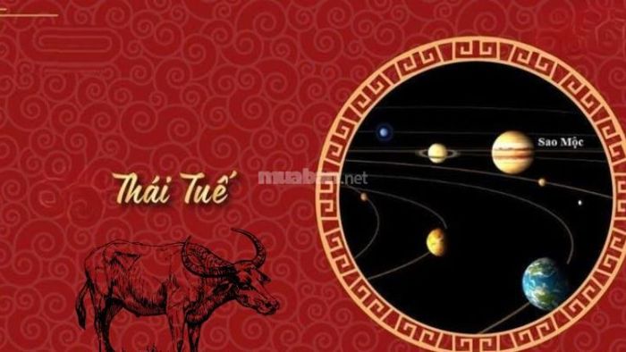 Thái Tuế của gia chủ tuổi Quý Sửu 1973