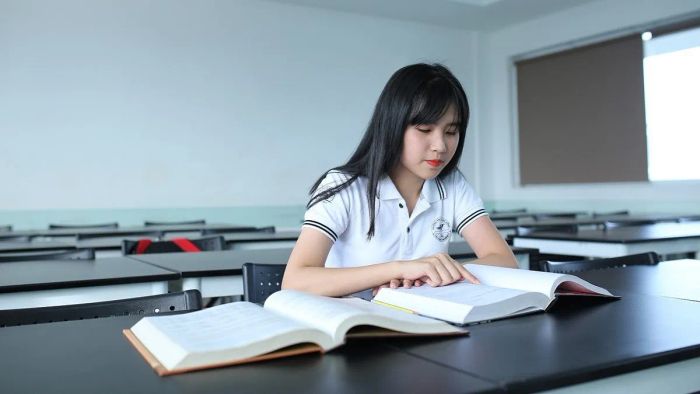 Bí quyết đạt điểm cao môn Văn trong khối D66