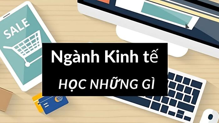 Ngành kinh tế bao gồm các môn học lý thuyết và thực hành nhằm hỗ trợ việc giải quyết các vấn đề kinh tế trong thực tế