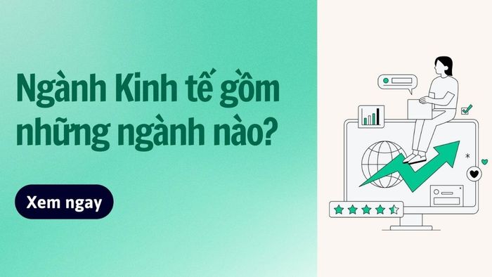 Sinh viên ngành kinh tế có thể lựa chọn từ nhiều lĩnh vực nghề nghiệp đa dạng