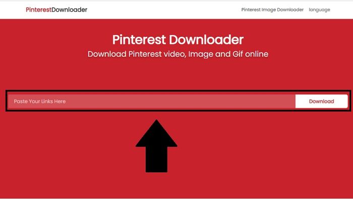 Hướng dẫn cách lưu hình ảnh từ Pinterest về điện thoại và máy tính dễ dàng