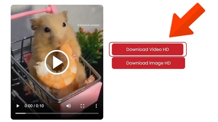 Hướng dẫn lưu hình ảnh từ Pinterest về điện thoại và máy tính đơn giản