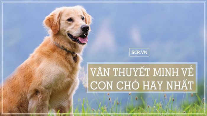 Ảnh minh họa (Nguồn internet) hình ảnh 1